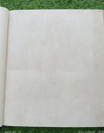 Home and office Wallpaper for walls (RN - 03)