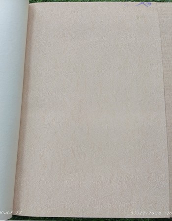 Home and office Wallpaper for walls (RN - 05)