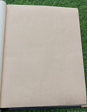 Home and office Wallpaper for walls ( RN - 07)