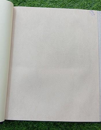 Home and office Wallpaper for walls (RN 08)