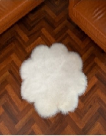 Floor Carpet
