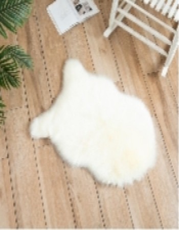 Floor Carpet