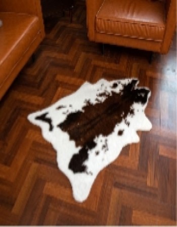 Floor Carpet