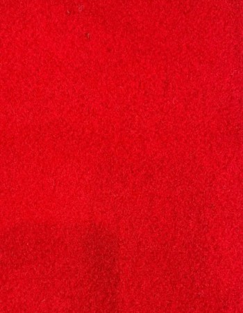 Carpet Floor