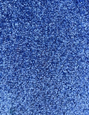 Carpet Floor