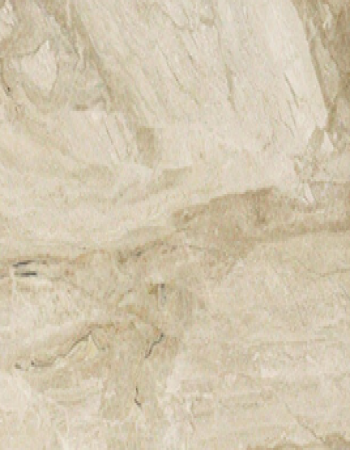 SOFIA BEIGE