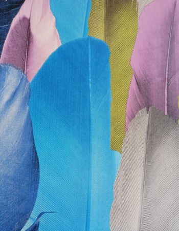 WALL FASHION Home and Office Wallpaper(WF-113)