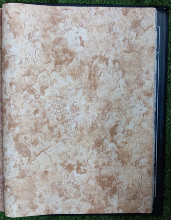 MODERN TIMES  Affordable wallpapers without compromising on style