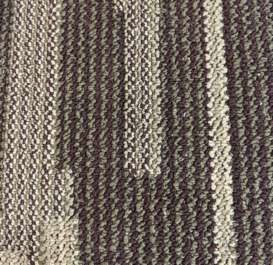 Carpet Floor