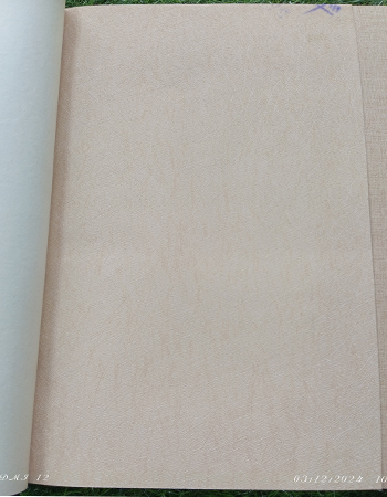 Home and office Wallpaper for walls (RN - 05)